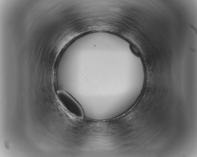 X0000100411040200806201754