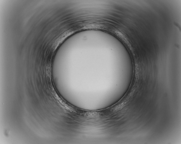 X0000100411041200806201754