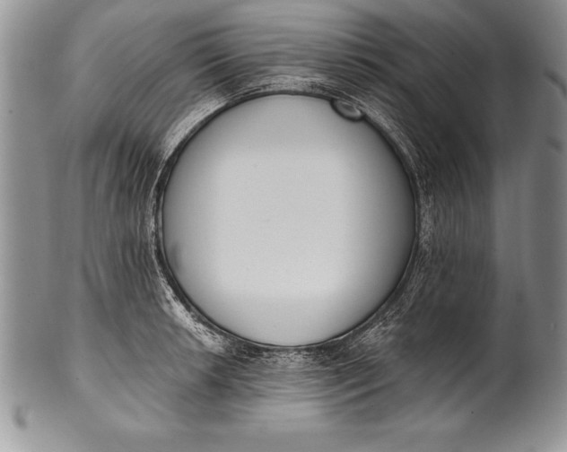 X0000100411042200806201755