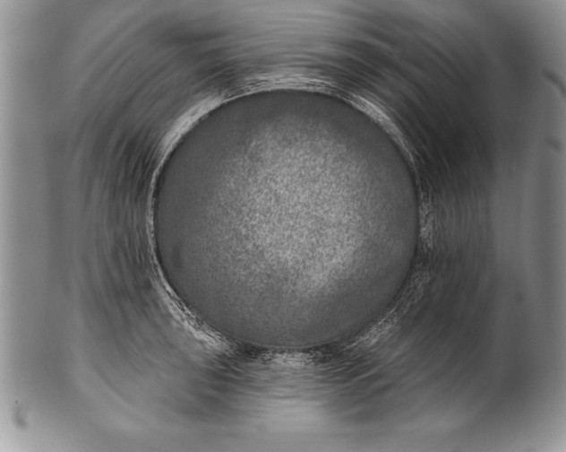 X0000100411043200806201755