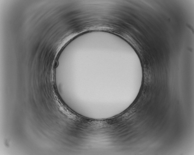 X0000100411044200806201755