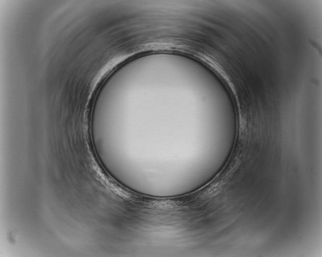 X0000100411045200806201755