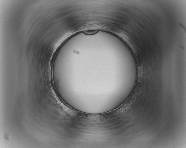 X0000100411046200806201755