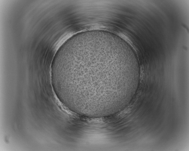 X0000100411047200806201755