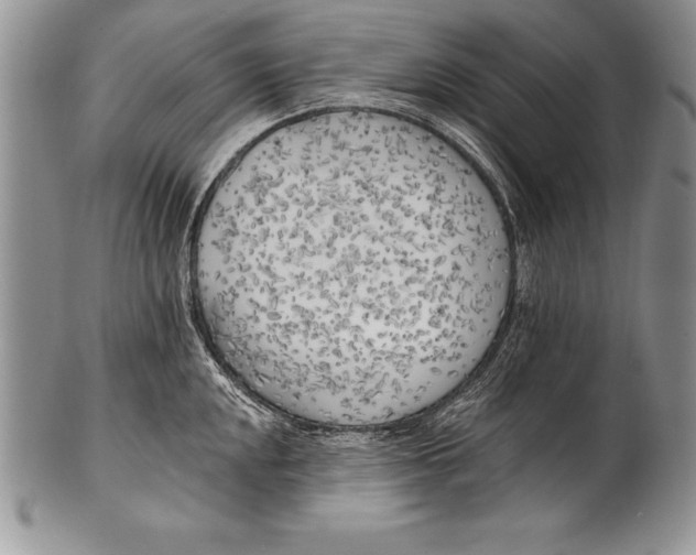 X0000100411048200806201755