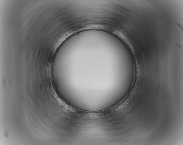 X0000100411049200806201755