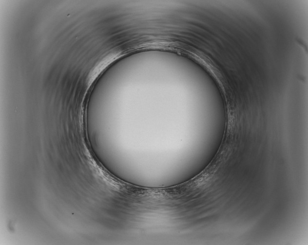 X0000100411050200806201755