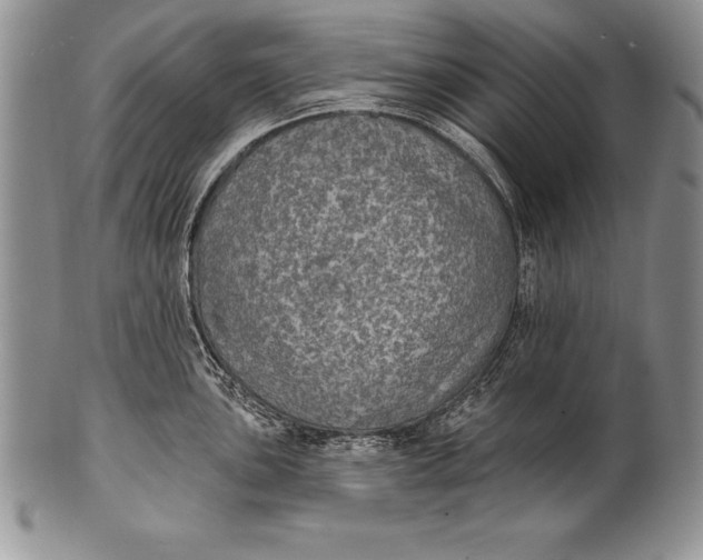 X0000100411051200806201755