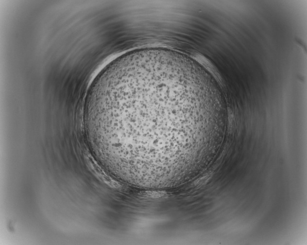 X0000100411052200806201755