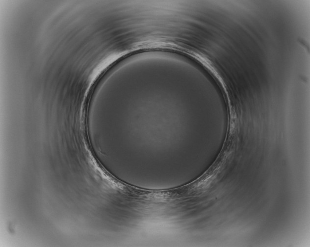 X0000100411053200806201755