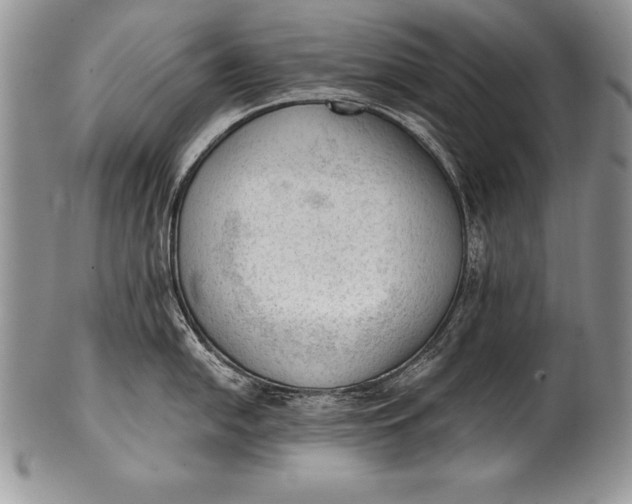 X0000100411054200806201755