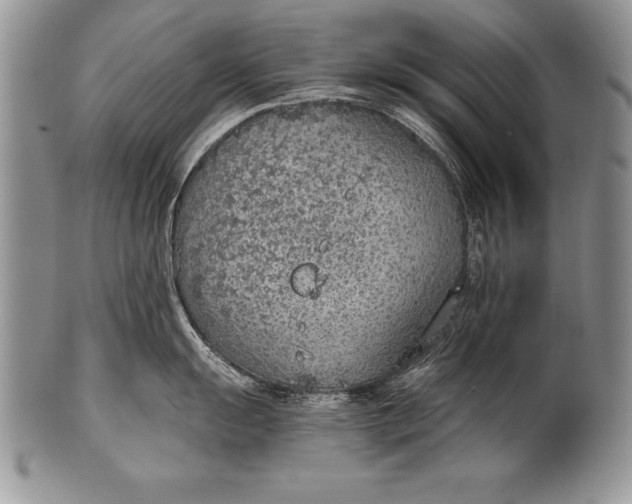 X0000100411055200806201755