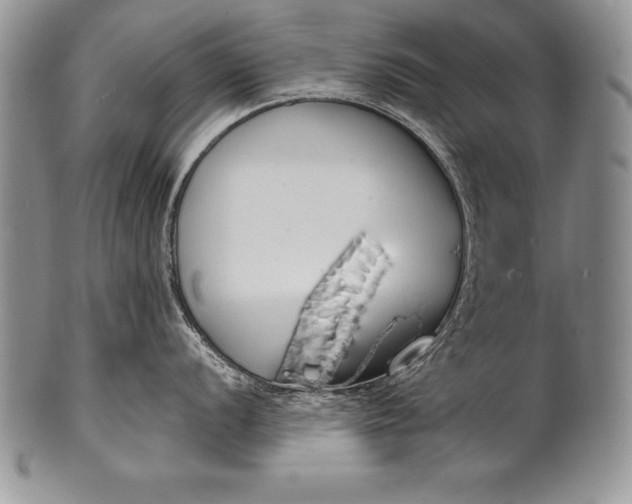 X0000100411056200806201755