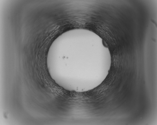 X0000100411057200806201754