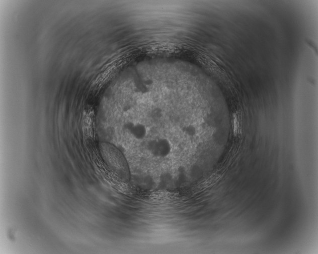 X0000100411059200806201754