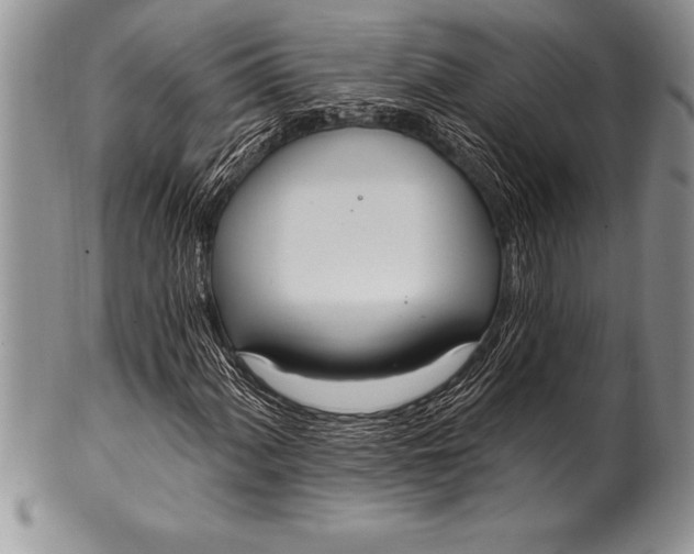 X0000100411060200806201754