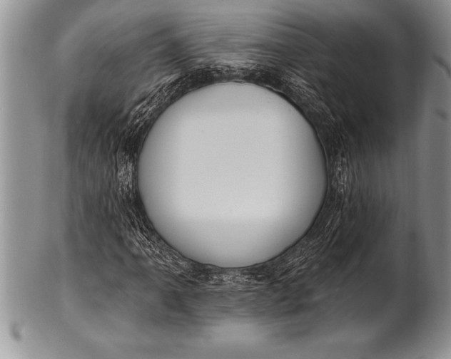 X0000100411061200806201754