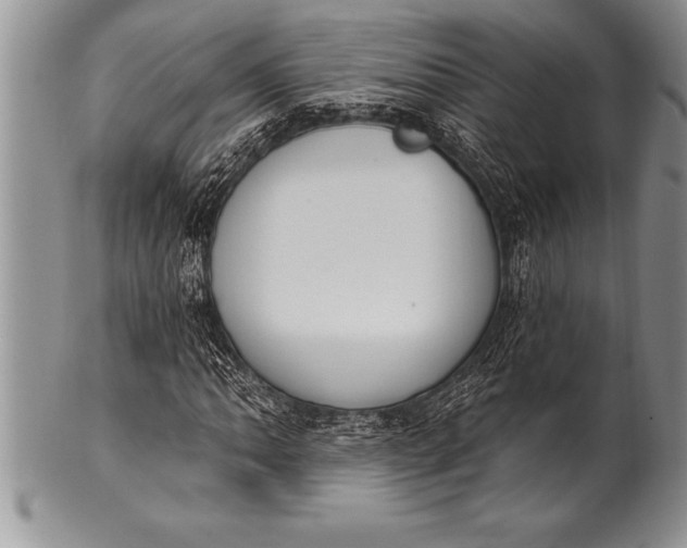 X0000100411062200806201754