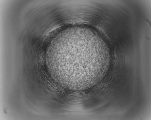 X0000100411063200806201754