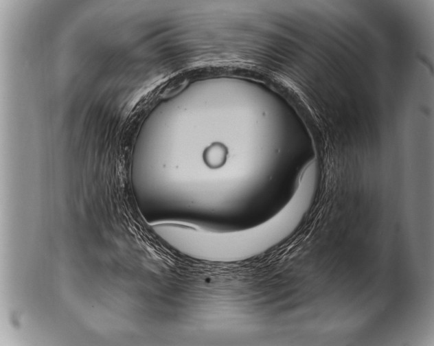 X0000100411064200806201754