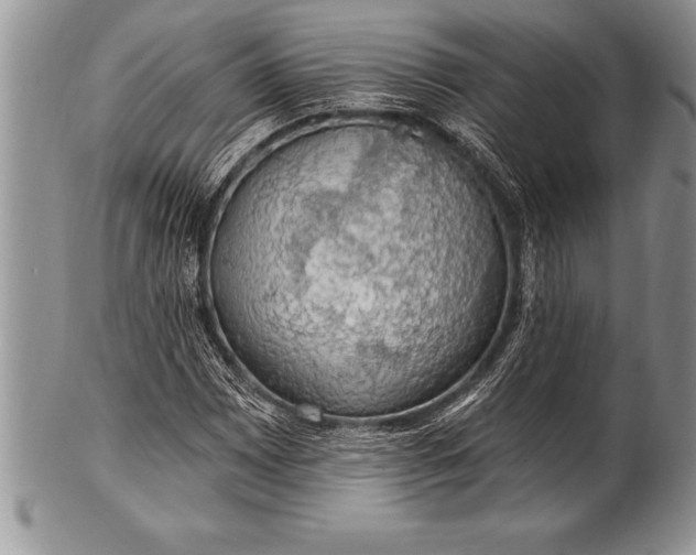 X0000100411065200806201754