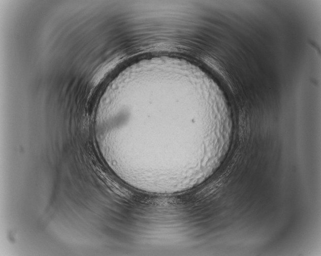 X0000100411067200806201754