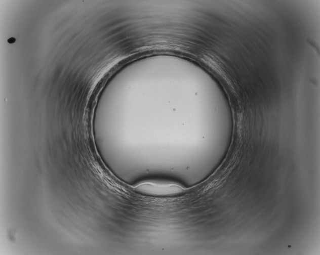 X0000100411068200806201754