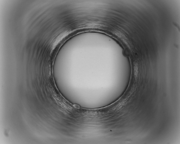 X0000100411069200806201754