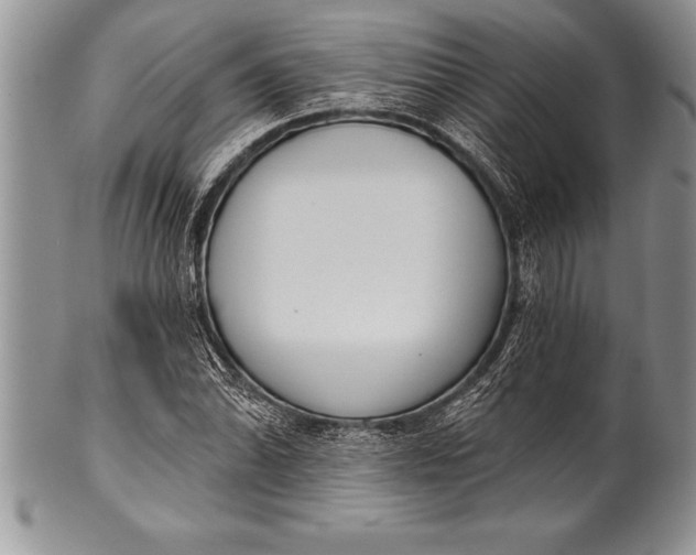 X0000100411070200806201754