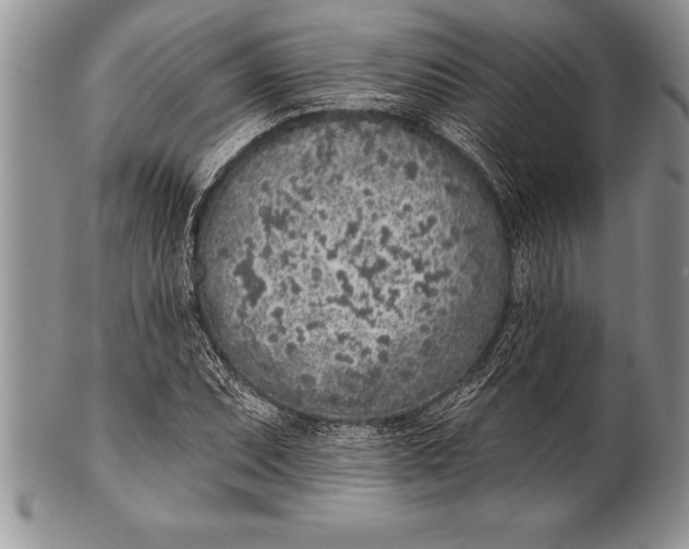 X0000100411071200806201754