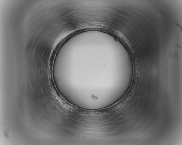 X0000100411072200806201754