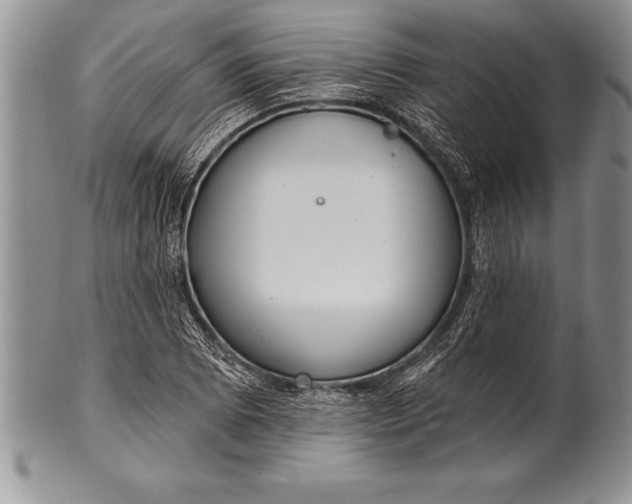 X0000100411073200806201754