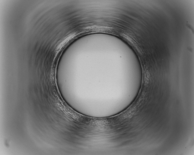 X0000100411074200806201754