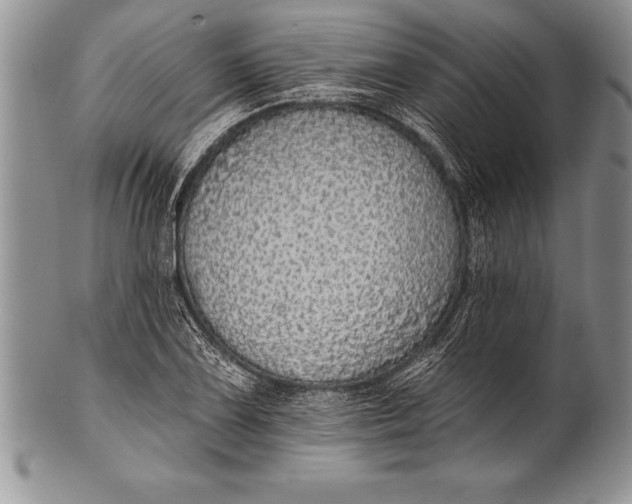 X0000100411075200806201754