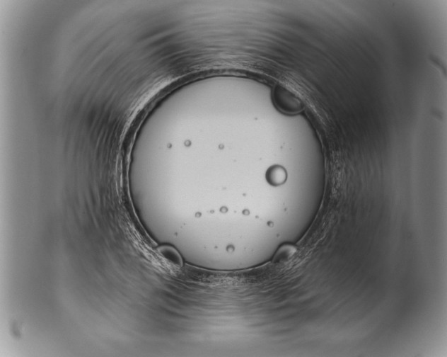 X0000100411076200806201754