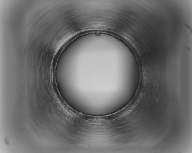 X0000100411077200806201754