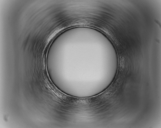 X0000100411078200806201754