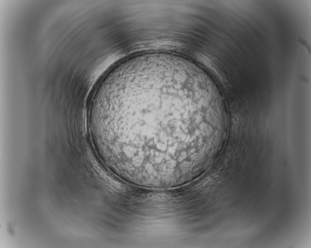 X0000100411079200806201754