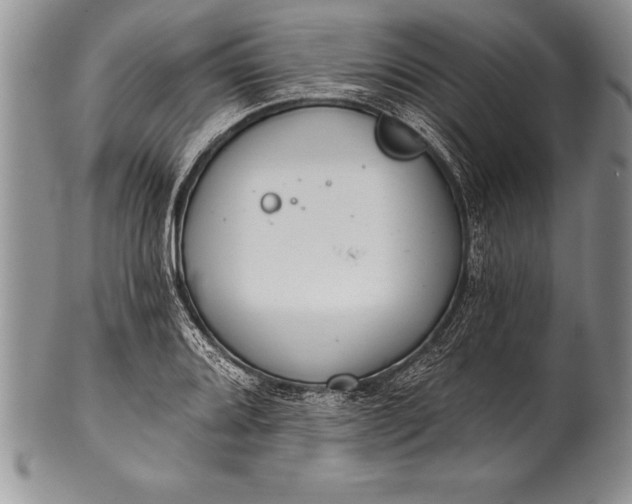 X0000100411080200806201754