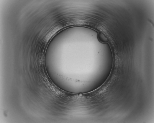 X0000100411081200806201754