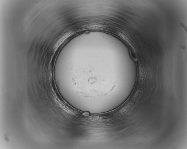 X0000100411082200806201754