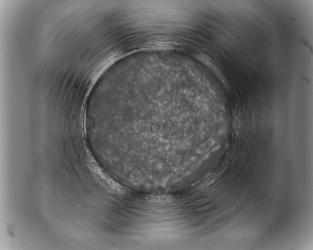 X0000100411083200806201754