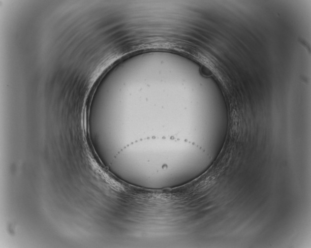 X0000100411084200806201754