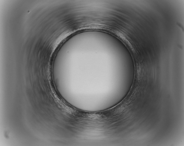 X0000100411085200806201754