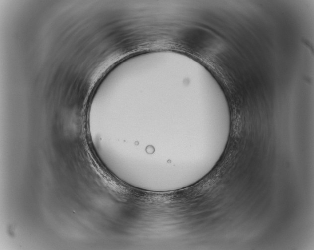 X0000100411086200806201754