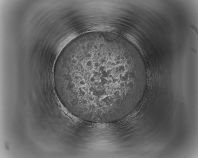 X0000100411087200806201754