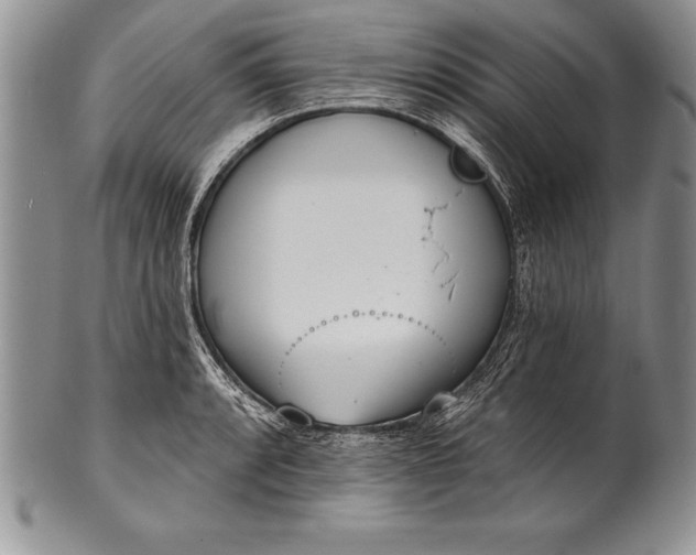 X0000100411088200806201754