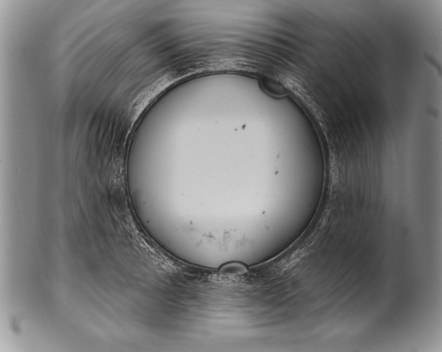 X0000100411089200806201754