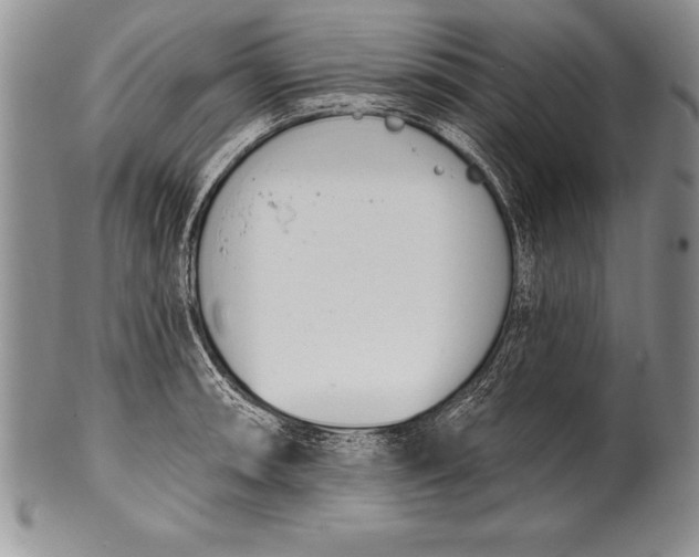 X0000100411090200806201754