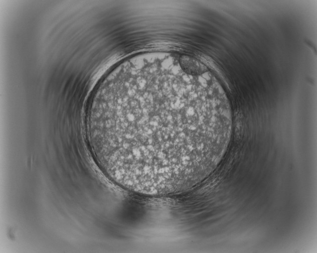 X0000100411091200806201754